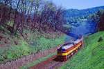 781 578 + 781 529, Vojkovice, 31.05.1996.