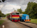 T 211 0586 + T 478 3101 - Kněževes 29.08.21