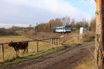 810 566 zu sehen am 20.12.19 in Chotikov.