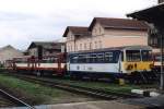 010 603-9 + 010 401-8 + 010 543-3 auf Bahnhof Liberec am 20-7-2005.