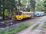 Triebzug der Baureihe 810 in Trutnov am 09.10.2012