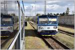 Begenung mit 810 236-0 nach Rudná u Prahy in Praha-Zličín.