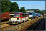 810 543-9 teilt sich mit 750 703-1 ein Gleis im Bahnhof Trutnov hl.n.