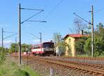 810 041 pendelte am 13.05.19 zwischen Cheb und Vojtanov.