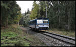 Im Waldgebiet südlich von Becov nad Teplou ist hier der CD 810559-5 am 18.10.2021 um 17.13 Uhr unterwegs. Der Triebwagen hat die Zugnummer 16710 und befährt die komplette Strecke von Rakovnik bis Becov nad Teplou.