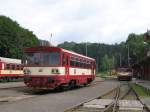 810 295-6 auer Betrieb auf Bahnhof Tanvald am 12-7-2009.