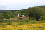 Auf der nur an Wochenenden mit Reisezgen bedienten tsch. KBS084 (Rumburk - Mikulovice ber Pansk) durchfhrt am 08.05.2011 914/814 096 Mikulovice horni ndra als MOs26043.