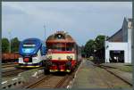 Treffen der Generationen im Bahnhof Rumburk: Links 844 029-9, ein PESA LINK Baujahr 2013, als Os 26057 nach Mikulášovice (Nixdorf), rechts ein 854 mit Steuerwagen als R 1109 nach Kolin.