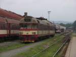 854 020-5/80-29 204 auf Bahnhof Trutnov Hlavn Ndra am 7-8-2011.