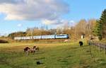 362 132-3 mit R 613 Svatava zu sehen am 30.10.17 in Chotikov.