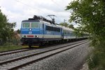 Bei Pohetice kam am 14.06.2016 um 10.48 Uhr 362173 mit dem D n. Brno vorbei. 