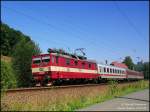 371 003 am EC173 nach Wien zwischen Kurort Rathen und Strand im Elbtal, 17.07.08.