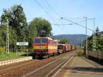 372 009-1 zieht am 31.8.2009 einen gemischten Gterzug durch Krippen.