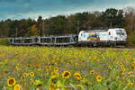 Vectron 383 022 der CDC mit einem leeren Autozug am 11.10.26 bei Eglharting.