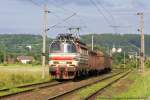 20.06.09: 230 036 kommt am Fotostandpunkt bei Chotikov zwischen Karlsbad und Cheb vorbei.