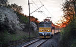 Im letzten Licht fährt 242 239-2 mit dem R 659  Karel Klostermann  nach Strakonice vorüber.Bild Stary Plzenec 18.4.2018