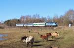 242 267-3 mit Os 7029 zu sehen am 15.02.19 in Chotikov.