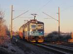 242 234-3 und 242 254-1 zu sehen am 29.12.25 in Vokov.