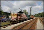 Bei einem Kurzbesuch am 8.8.2023 in Vyssi Brod traf ich im Bahnhof auf diesen kurzen Güterzug mit Zuglok 210046-9.