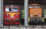 Ein gutes Zuhause haben die beiden Lokomotiven im Eisenbahnmuseum Vytopna.