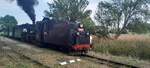 Der Heizer sch�rt schon mal kr�ftig nach am 28.08.2026, w�hrend des Wartens in Jindris auf den Dieselgegenzug.