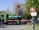 Kolínská řepařská drážka war die älteste Rübenbahn in Tschechien. 
Bei der Ausfahrt aus Sendražice (deutsch Sendraschitz) 27.04.2024 11:33 Uhr.
