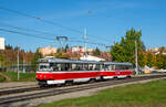 Brno/Brünn 

DPMB Tatra T3R 1620 + 1589 als Linie 6, Švermova, 20.10.2022 