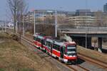 T3R 1665 + 1666 als Linie 2 in der Videnska ul. auf der Fahrt nach Modrice.(25.03.2022)