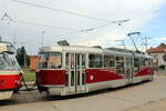 Praha / Prag SL 26 (Tatra T3RPLF 8255 + T3 8175) Dívoká Sárka am 21.