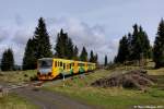 814 090 u. 814 058 mit den ersten CD Zug für diese Jahr auf der Weipert Schiene bei Kovářská 01.05.2015