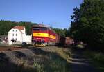 751 232-6 (VDA) fuhr am 11.06.25 einen leeren Holzzug nach Aš.