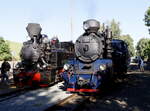Die beiden Zuglokomotiven für den Sonderzug, hier in Třemešná ve Slezsku.