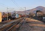 388 008-5, 742 434-4 und 742 253-8 waren mit einem Mischer am 13.02.22 in Libochovany zu sehen.