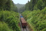 �bergabe aus As nach Cheb mit 771 182 und 5 Eas im Wald bei As.