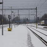 Winterliche Stimmung, Nieselregen in Marianske Lazne. 07.02.2027  11:25 Uhr.