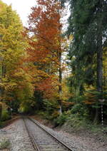 typisches Bild der Strecke Vimperk-Volary durch den Böhmer Wald. Die Bäume  bilden  Tunnel 
08.10.2022  14:38 Uhr.