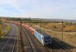 388 019-3 (CD Cargo) zu sehen am 31.10.25 mit einem Elbtalumleiter in Citice.