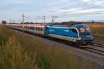 1216.235  Spirit of Brno  mit EC 279, am Abend des 22.09.2013 bei Tallesbrunn.