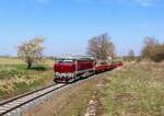 T 478 1006 (749 006) KZC als Os 91273 zu sehen am 11.04.26 bei Vrátno. Links ist die Burg Bezděz (Státní hrad Bezděz) zu sehen.