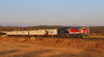 Containerzug mit Unipetrol doppel 753 717 und 719 bei Zihle in der Abendsonne.