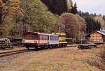 720 604 mit VIA17010 in Rotau, 23.10.09.