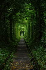 Das ist der Tunnel der Liebe in der Ukraine.