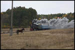 Die Vorbeifahrt der Su 51-86 nahe Sobolivka am 10.10.2016 war für dieses Pferd nicht lange zu ertragen.