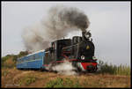 Unterwegs am 11.10.2016 am Waldrand bei Kurinywka.