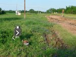 Ausfahrt aus dem Bahnhof Tiszatelek der 2009 stillgelegten Schmalspurstrecke von Nyiregyhaza nach Dombrad und Balsa, 29.