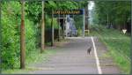 Hier ticken die Uhren noch ein wenig anders. Mit Ruhe und Gelassenheit wartet selbst diese Katze auf den ankommenenden Zug.Szenario vom Bahnsteig in Balatonföldvár (Ungarn) am 29.05.2014.