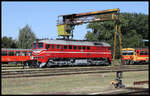 Am 17.07.2022 stand der Sergej M 62 127 im Bahnhof Tapolca und wartete dort auf seinen nächsten Einsatz im Rahmen des Nostalgie Programms.