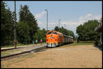 Die Nostalgie Lok M 61 019 wartet mit einem IR aus Tapolca am 16.7.2022 um 13.13 Uhr im Bahnhof Badacsonytördemic-Szigliget auf einen Gegenzug.