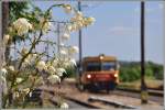 33614 von Balassagyrmat nach Ipolytarnoc trifft in Nogradszakal ein.