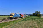 470 009 mit einem REX am 29.08.2018 bei Muckendorf.